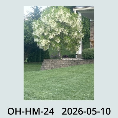Hail Obs Photo