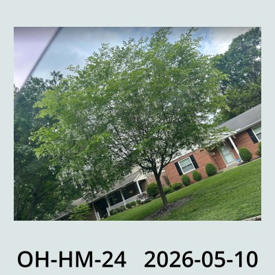 Hail Obs Photo