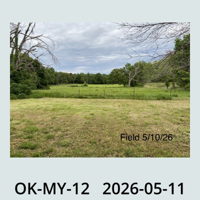 Hail Obs Photo