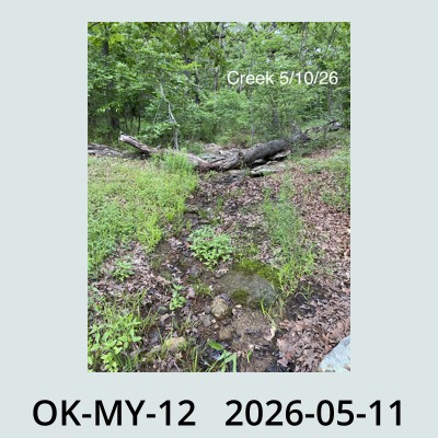 Hail Obs Photo