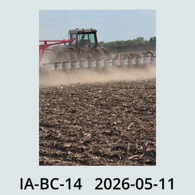 Hail Obs Photo