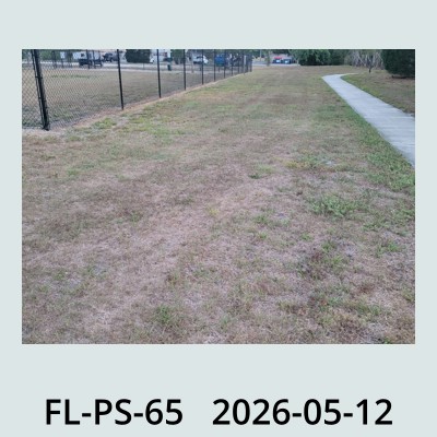 Hail Obs Photo