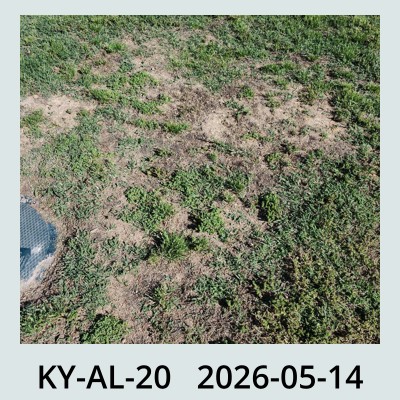 Hail Obs Photo