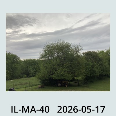 Hail Obs Photo