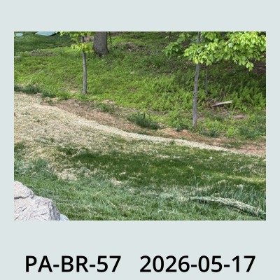 Hail Obs Photo
