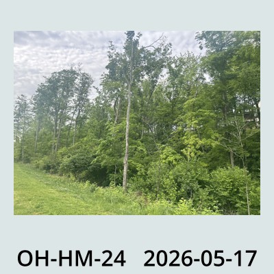 Hail Obs Photo