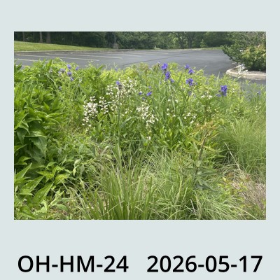 Hail Obs Photo