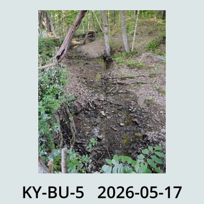 Hail Obs Photo