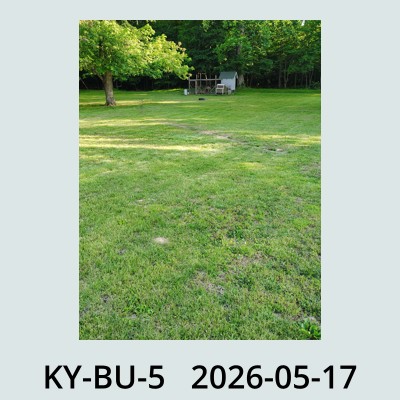 Hail Obs Photo