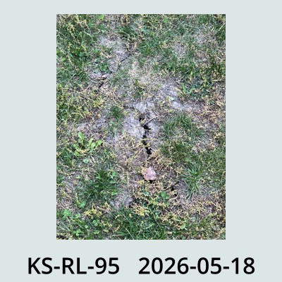 Hail Obs Photo