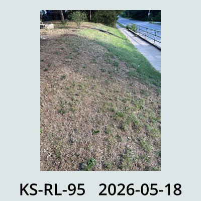 Hail Obs Photo