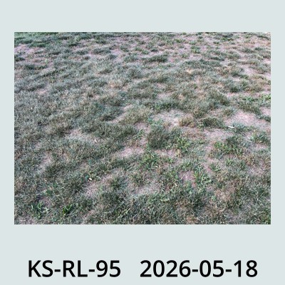 Hail Obs Photo