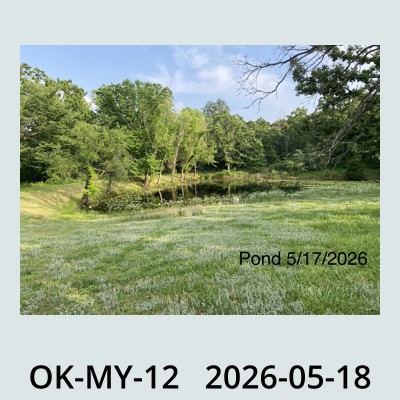 Hail Obs Photo