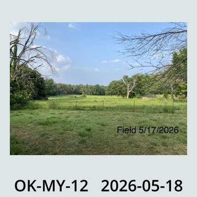 Hail Obs Photo