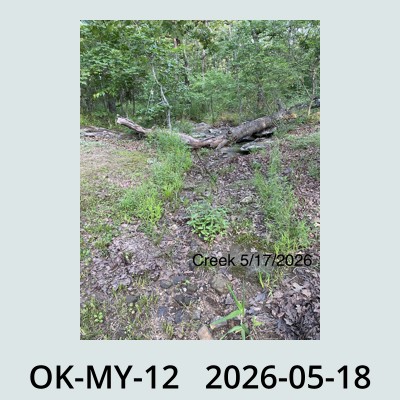 Hail Obs Photo