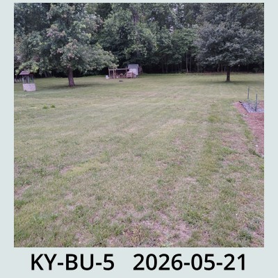 Hail Obs Photo