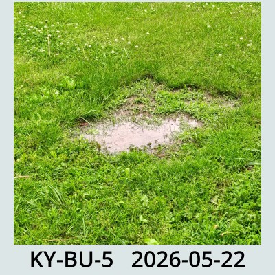 Hail Obs Photo