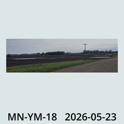 Hail Obs Photo