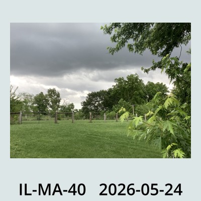 Hail Obs Photo