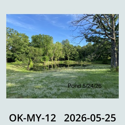 Hail Obs Photo