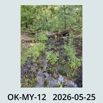 Hail Obs Photo