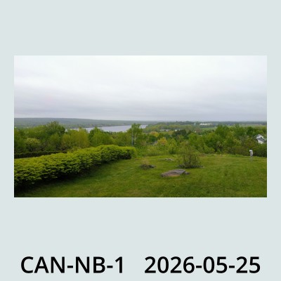 Hail Obs Photo