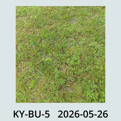 Hail Obs Photo