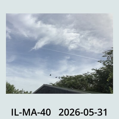 Hail Obs Photo