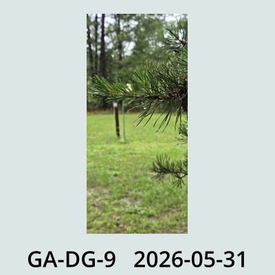 Hail Obs Photo