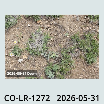 Hail Obs Photo