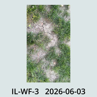 Hail Obs Photo