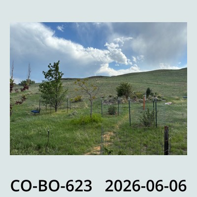 Hail Obs Photo