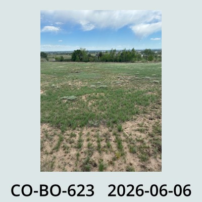 Hail Obs Photo