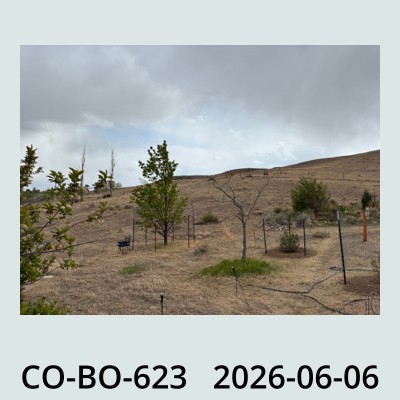 Hail Obs Photo
