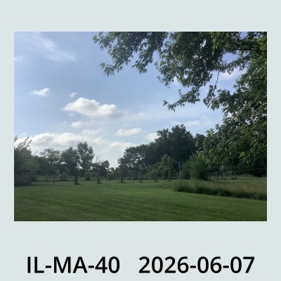 Hail Obs Photo