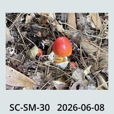 Hail Obs Photo