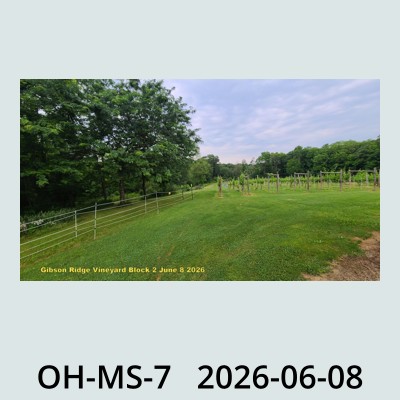 Hail Obs Photo