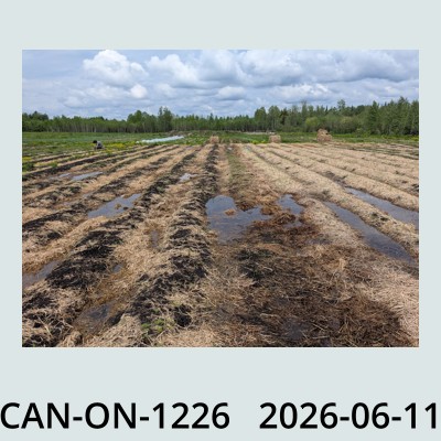 Hail Obs Photo