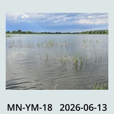Hail Obs Photo