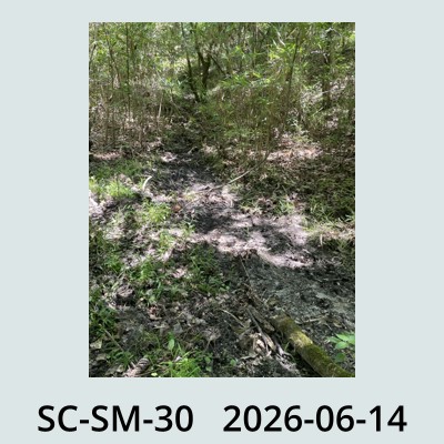 Hail Obs Photo