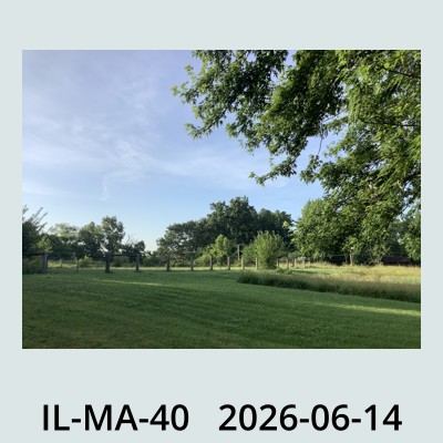 Hail Obs Photo