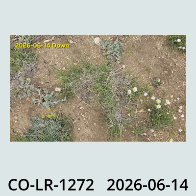 Hail Obs Photo