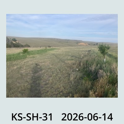 Hail Obs Photo