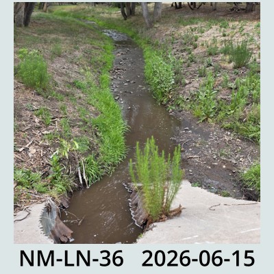 Hail Obs Photo
