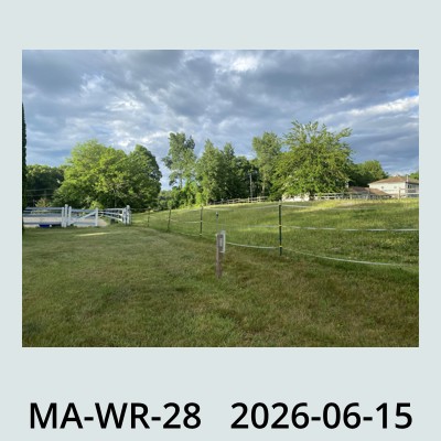 Hail Obs Photo
