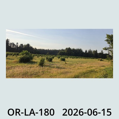 Hail Obs Photo