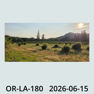Hail Obs Photo