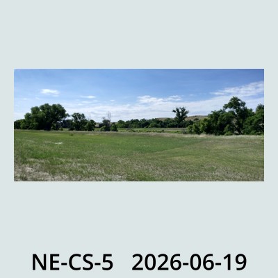 Hail Obs Photo