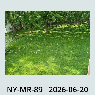 Hail Obs Photo