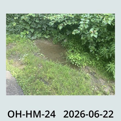 Hail Obs Photo